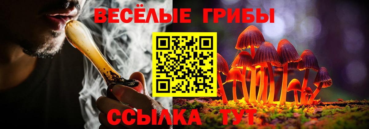 Алапаевск  Псилоцибиновые грибы мицелий  Вход с VPN 