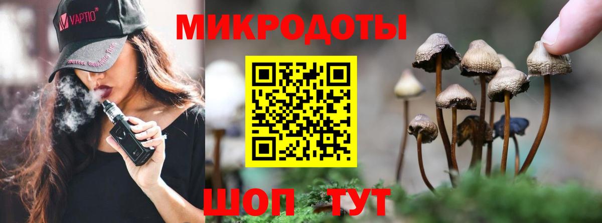 Псилоцибиновые грибы мицелий Алапаевск